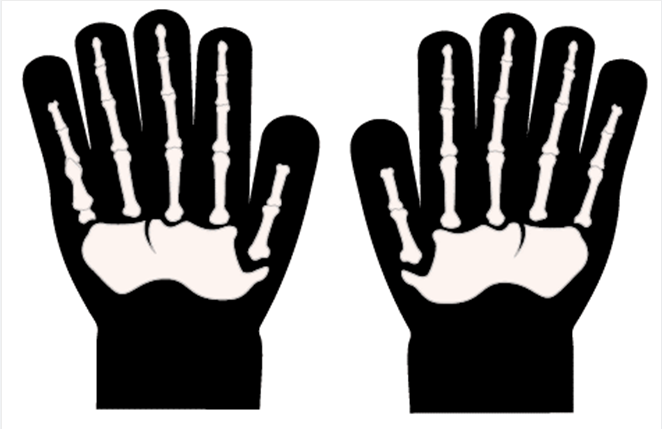 万圣节骷髅手套 