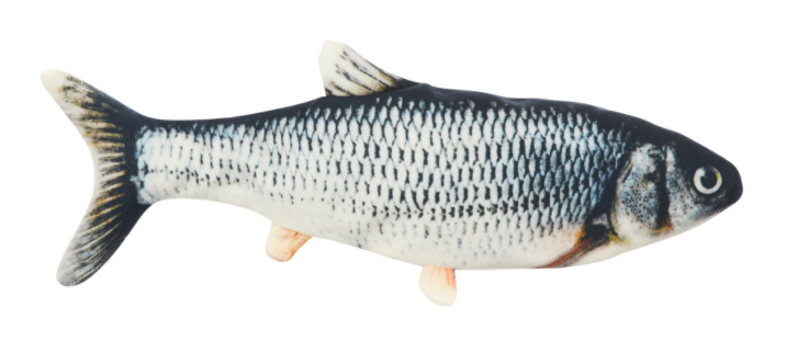 Electric simulation fish 