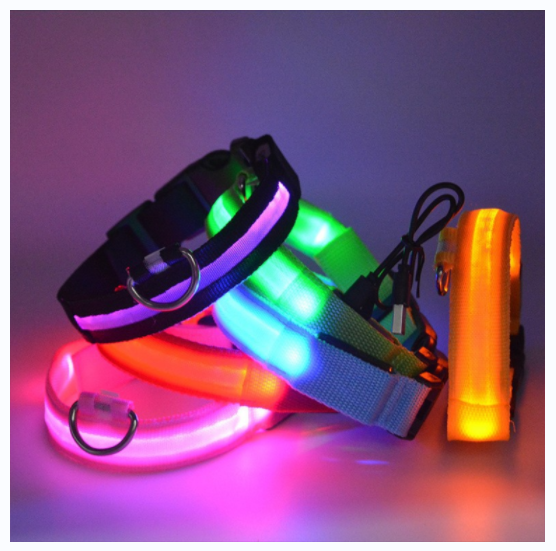Colorful LED Pet Dog Lyreal Bar 