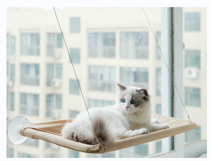 Suction Cat Cat Misnery 